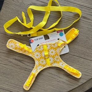 Top Paw Sunny Daisy Pet Harness & Leash
